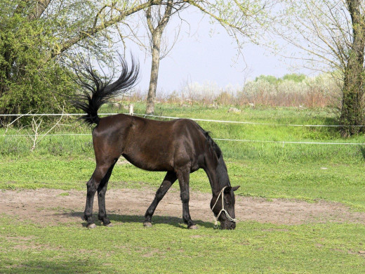 357997 (a): :1600x1200